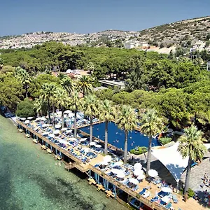 Omer Kuşadası